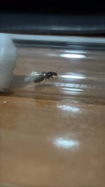 A82D7E7B-0E0B-47F1-BB62-AD5A7C3536B0.jpeg