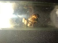 IMG_20260718_012715.jpg
