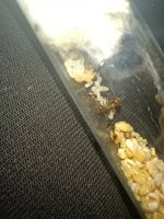 IMG_20260718_013043.jpg