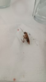 IMG_20260718_161648.jpg