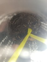 terrarium.jpeg