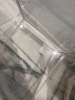 IMG_2055.jpeg IMG_2055.jpeg
