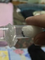 IMG_2197.jpeg
