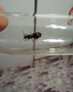 IMG_2059.jpeg