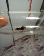 IMG_2058.jpeg