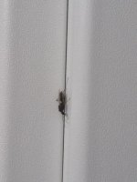 IMG-20260720-WA0002.jpg