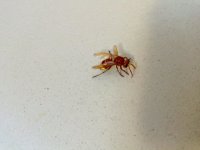 IMG_20260720_073159_670.jpg