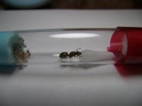 100_3102.JPG