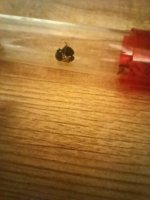 20260720_051626.jpg