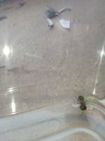 IMG_20260720_181732.jpg