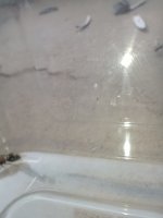 IMG_20260720_181738.jpg
