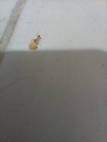 20260720_192125.jpg