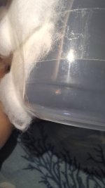 20260720_145527.jpg