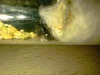 IMG_20260720_221235.jpg