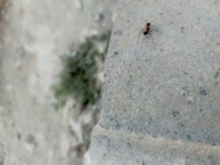 IMG_20260721_114139_257.jpg