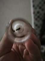IMG_20260721_131646.jpg