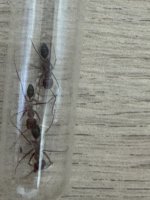 IMG_5618.jpeg