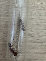 IMG_5617.jpeg