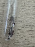 IMG_5619.jpeg