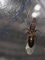 IMG_20260721_160813_175.jpg