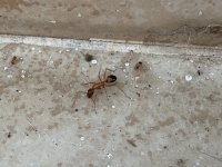 IMG_0600.jpeg IMG_0600.jpeg