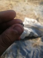 IMG_20260721_174523.jpg