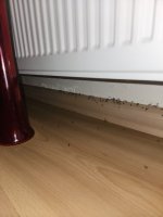 20260721_190503.jpg
