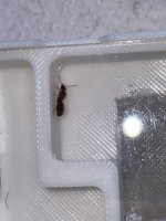 IMG_6740.jpeg