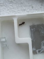 IMG_6744.jpeg