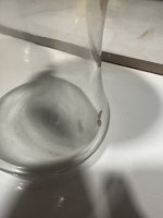 IMG_4994.jpeg