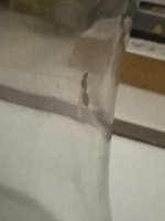 IMG_4997.jpeg