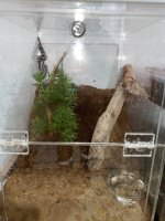 IMG_7099.jpeg
