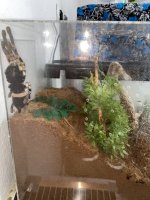 IMG_7100.jpeg