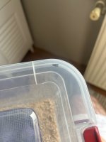 IMG_2721.jpeg