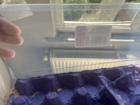 IMG_2628.jpeg