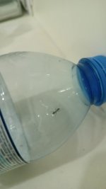 IMG_20260722_193847.jpg