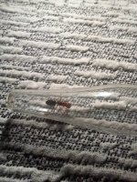 8058d757-f0c0-4a1a-896d-7498a5568ee9.jpeg