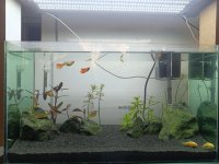 IMG_20260719_111739.jpg