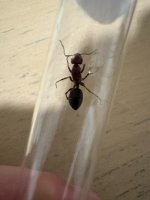 IMG_4610.jpeg
