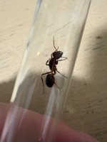IMG_4611.jpeg