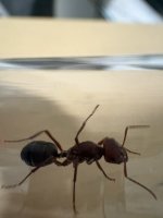 IMG_4614.jpeg