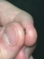 IMG_3846.jpeg