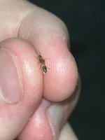 IMG_3845.jpeg