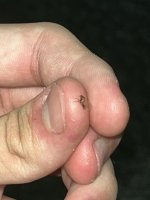 IMG_3848.jpeg