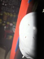 IMG_3843.jpeg