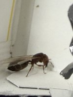 IMG_8026.jpeg