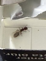 IMG_8025.jpeg