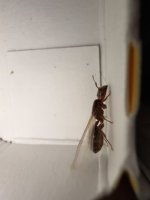 IMG_8028.jpeg