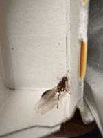 IMG_8027.jpeg