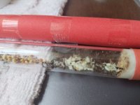 1000071727.jpg
